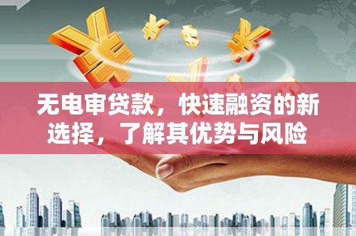 蒲江无电审贷款，快速融资的新选择，了解其优势与风险