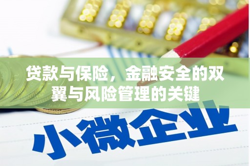 蒲江贷款与保险，金融安全的双翼与风险管理的关键