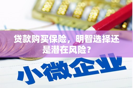 蒲江贷款购买保险，明智选择还是潜在风险？
