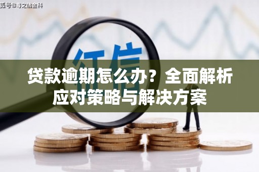 蒲江贷款逾期怎么办？全面解析应对策略与解决方案