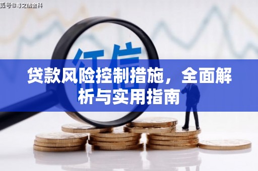 蒲江贷款风险控制措施，全面解析与实用指南