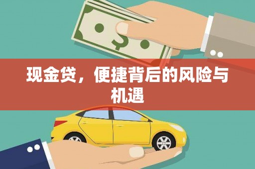蒲江现金贷，便捷背后的风险与机遇
