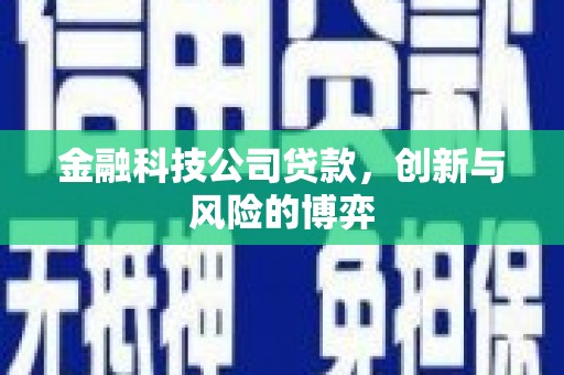 蒲江金融科技公司贷款，创新与风险的博弈