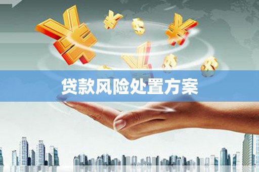 蒲江贷款风险处置方案