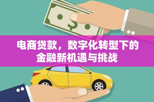 蒲江电商贷款，数字化转型下的金融新机遇与挑战