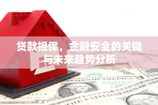 蒲江贷款担保，金融安全的关键与未来趋势分析