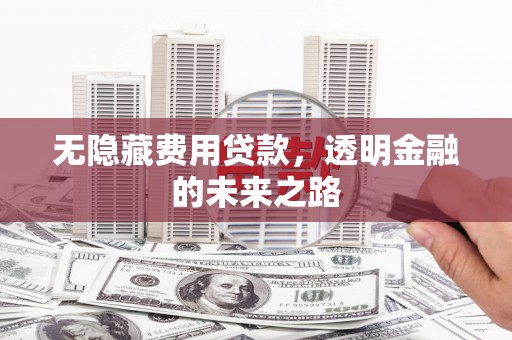 蒲江无隐藏费用贷款，透明金融的未来之路