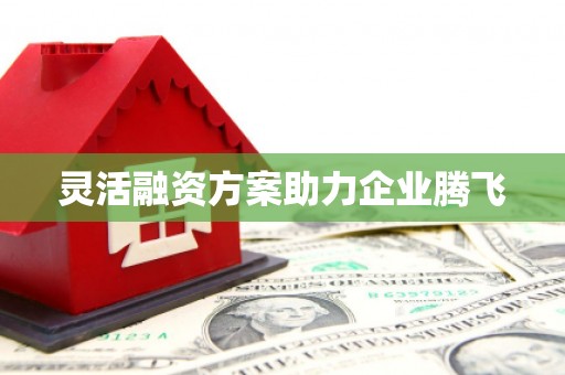 蒲江灵活融资方案助力企业腾飞
