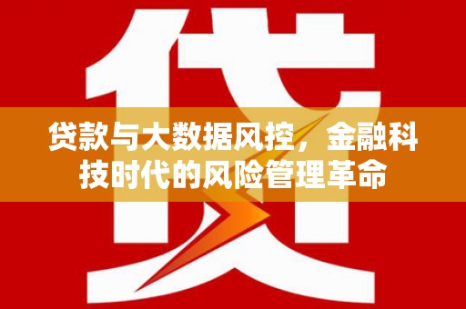 蒲江贷款与大数据风控，金融科技时代的风险管理革命