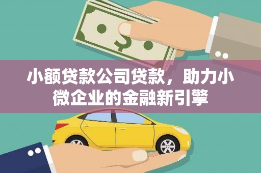 蒲江小额贷款公司贷款，助力小微企业的金融新引擎