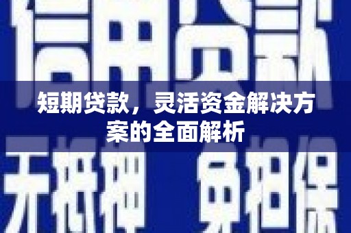 蒲江短期贷款，灵活资金解决方案的全面解析