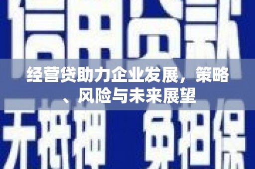 蒲江经营贷助力企业发展，策略、风险与未来展望
