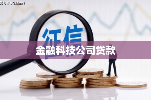 蒲江金融科技公司贷款