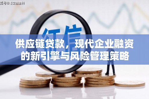 蒲江供应链贷款，现代企业融资的新引擎与风险管理策略