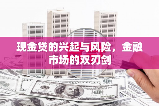 蒲江现金贷的兴起与风险，金融市场的双刃剑
