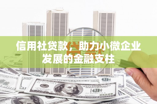 蒲江信用社贷款，助力小微企业发展的金融支柱