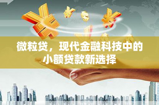 蒲江微粒贷，现代金融科技中的小额贷款新选择