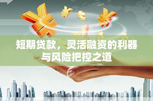蒲江短期贷款，灵活融资的利器与风险把控之道