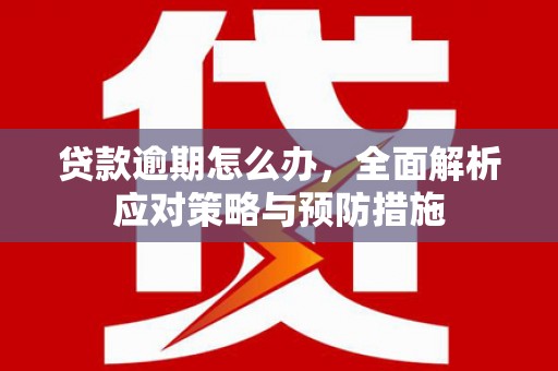 蒲江贷款逾期怎么办，全面解析应对策略与预防措施