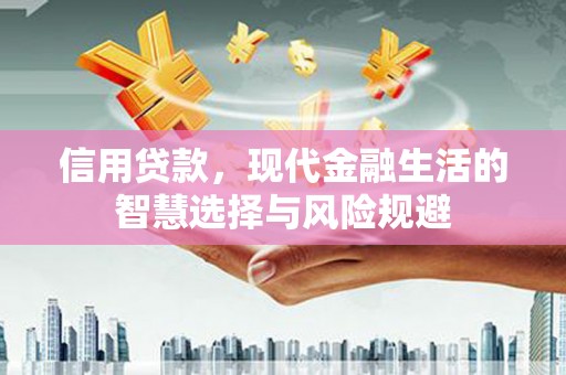 蒲江信用贷款，现代金融生活的智慧选择与风险规避