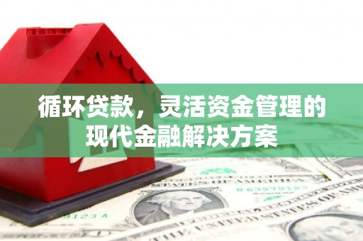 蒲江循环贷款，灵活资金管理的现代金融解决方案