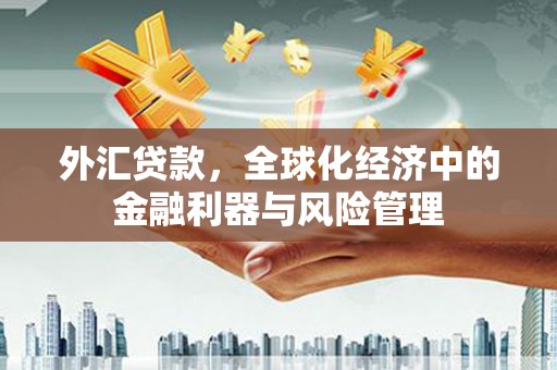 蒲江外汇贷款，全球化经济中的金融利器与风险管理