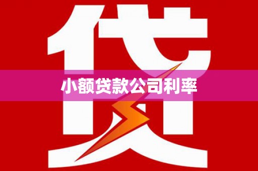 蒲江小额贷款公司利率