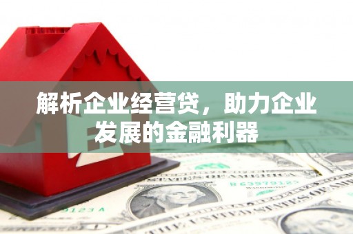 蒲江解析企业经营贷，助力企业发展的金融利器