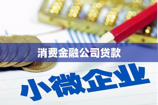蒲江消费金融公司贷款