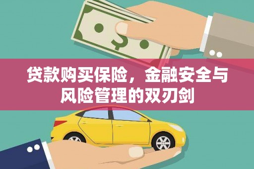 蒲江贷款购买保险，金融安全与风险管理的双刃剑