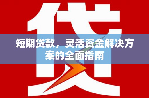 蒲江短期贷款，灵活资金解决方案的全面指南