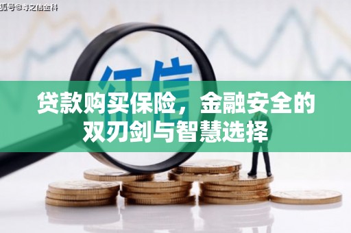 蒲江贷款购买保险，金融安全的双刃剑与智慧选择