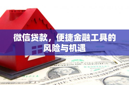 蒲江微信贷款，便捷金融工具的风险与机遇