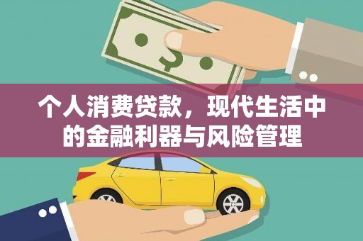 蒲江个人消费贷款，现代生活中的金融利器与风险管理