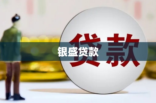 蒲江银盛贷款