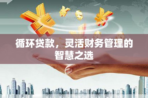 蒲江循环贷款，灵活财务管理的智慧之选