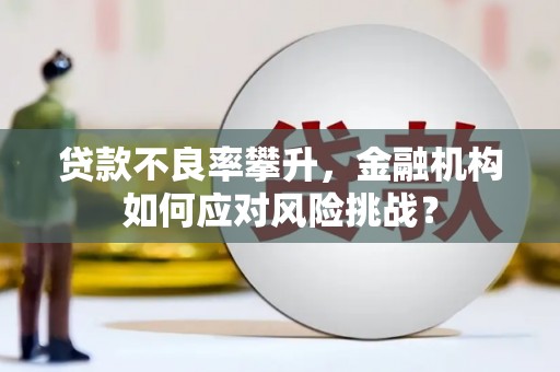 蒲江贷款不良率攀升，金融机构如何应对风险挑战？