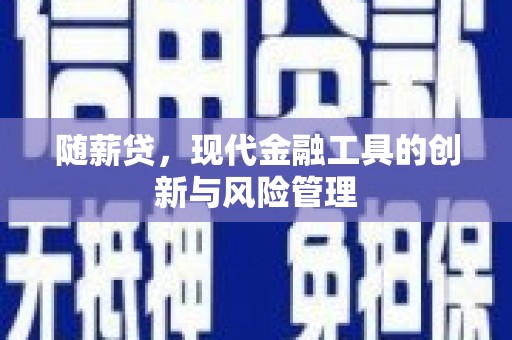蒲江随薪贷，现代金融工具的创新与风险管理
