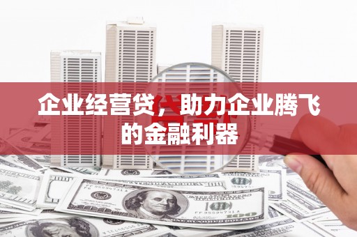 蒲江企业经营贷，助力企业腾飞的金融利器