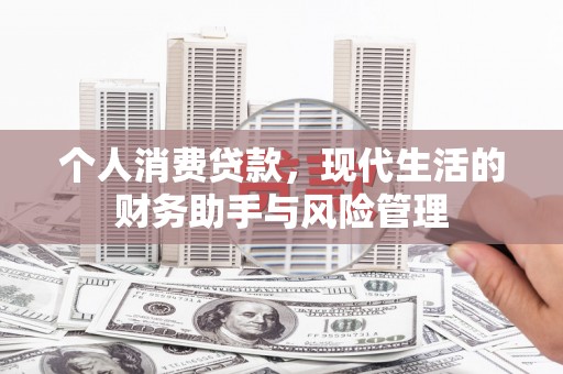 蒲江个人消费贷款，现代生活的财务助手与风险管理