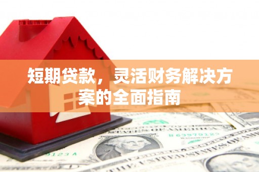 蒲江短期贷款，灵活财务解决方案的全面指南
