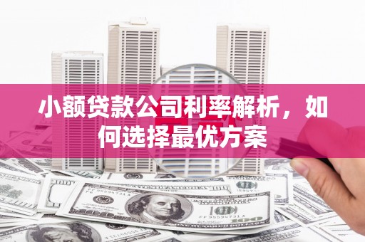蒲江小额贷款公司利率解析，如何选择最优方案