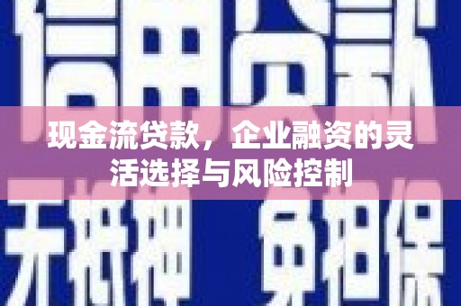 蒲江现金流贷款，企业融资的灵活选择与风险控制