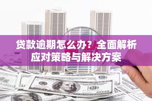 蒲江贷款逾期怎么办？全面解析应对策略与解决方案