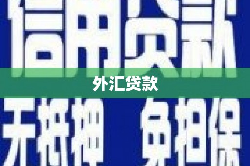 蒲江外汇贷款