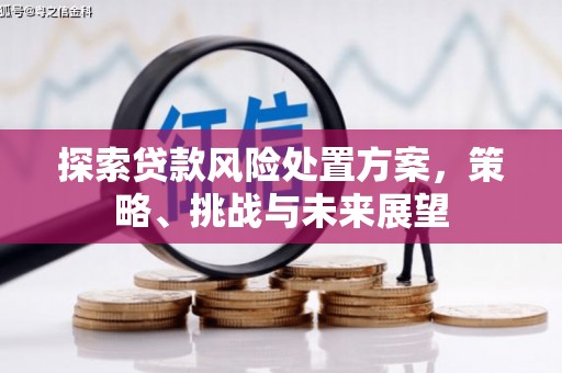 蒲江探索贷款风险处置方案，策略、挑战与未来展望
