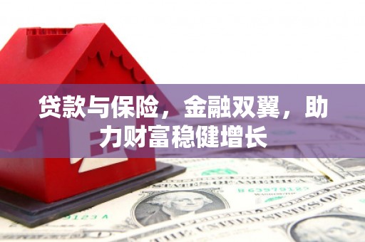 蒲江贷款与保险，金融双翼，助力财富稳健增长