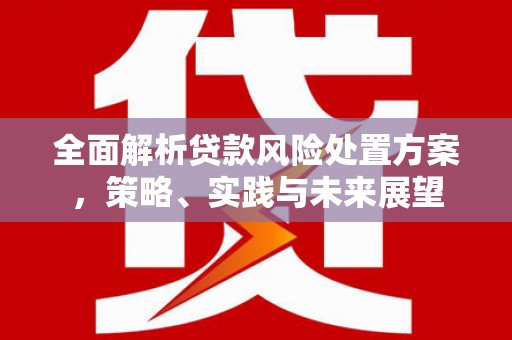 蒲江全面解析贷款风险处置方案，策略、实践与未来展望