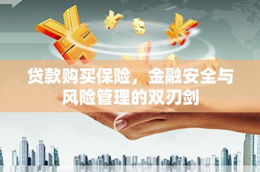 蒲江贷款购买保险，金融安全与风险管理的双刃剑