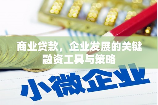 蒲江商业贷款，企业发展的关键融资工具与策略